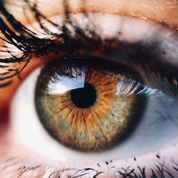 emdr-600x600