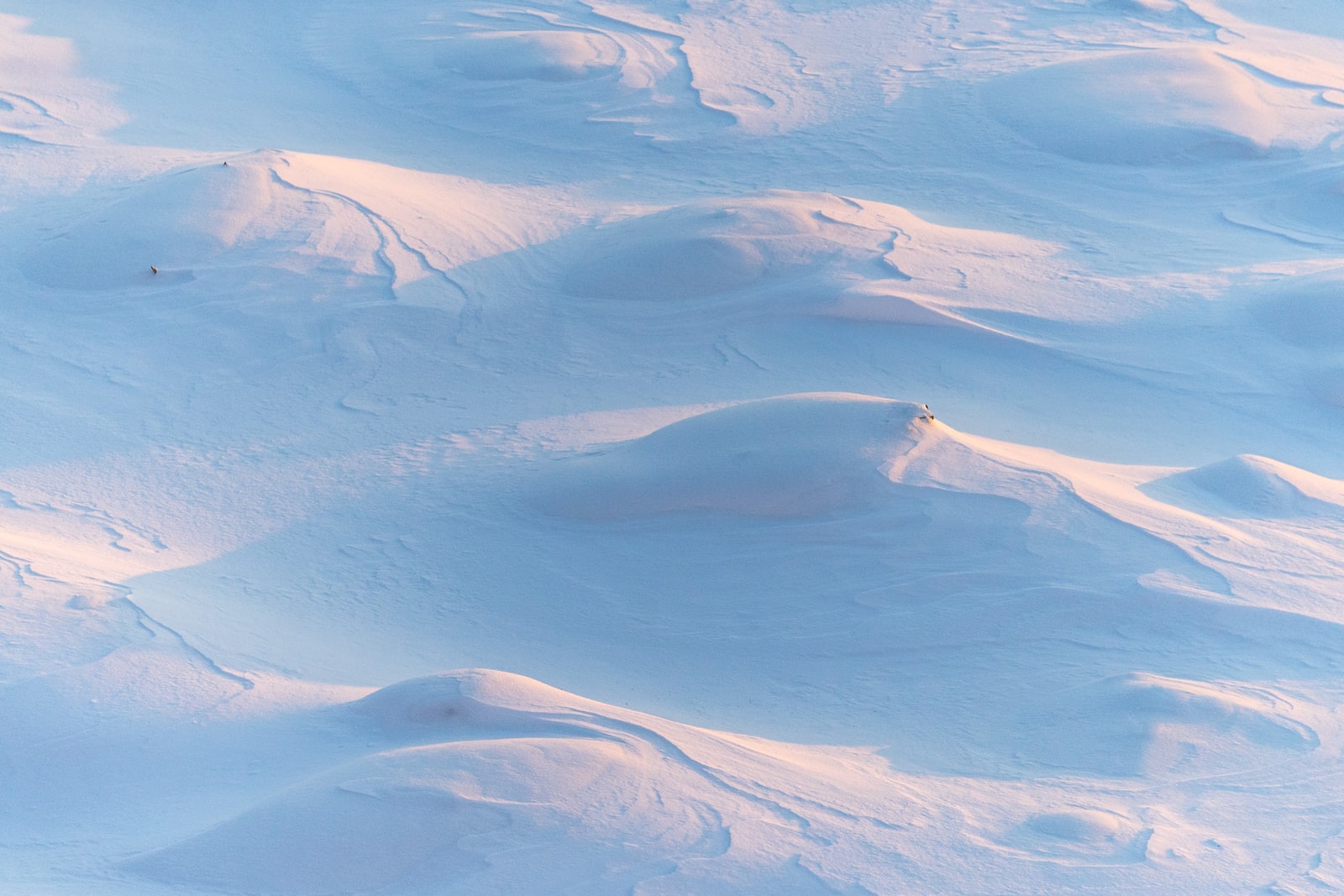 Photo by Ant Rozetsky snow field during daytime